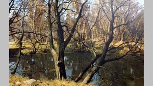 Академический реализм современного художника Александра Булакова.