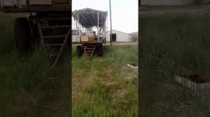 Пчеловодство КУБАНИ первый мед часть2