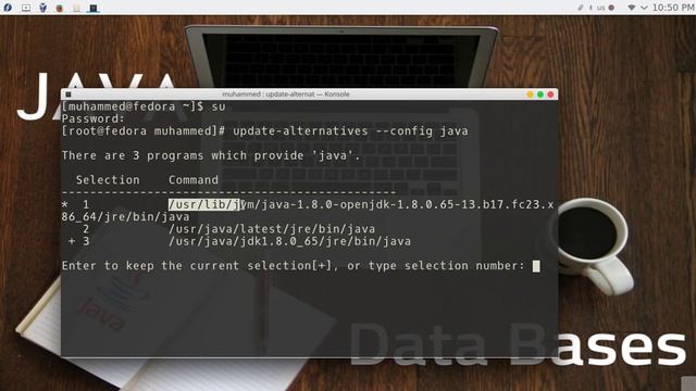 4 JAVA JDBC DataBases JDK config linux смотреть онлайн