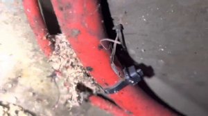 ✅ BMW E90 320D No Crank No Start, Почему Стартер крутит но не заводится! Обязательно проверьте Эт