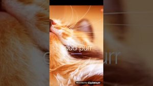 Progressbar XII и BarOS XII