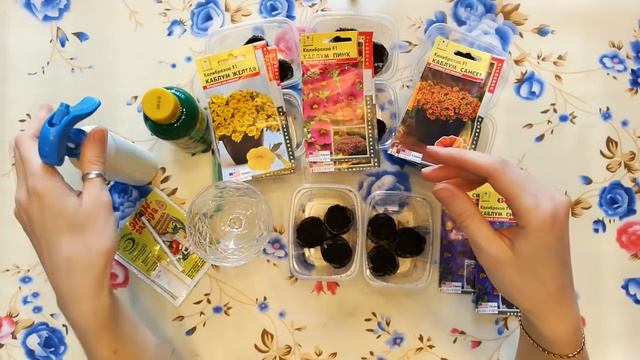 Калибрахоа,как вырастить красивый куст.Выращиваем правильно.1посев  семян