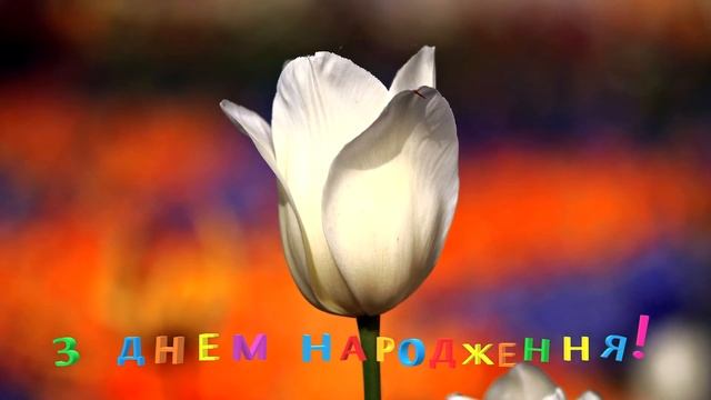 Юлія! З Днем Народження! Щоб доля щедрою була! смотреть онлайн