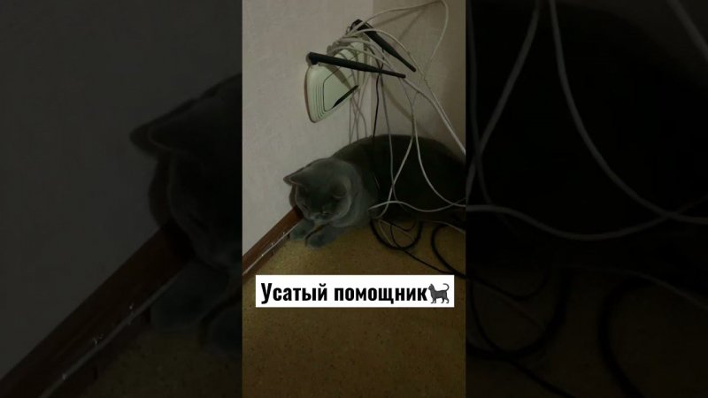 Помогает чинить интернет