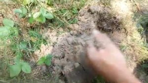 Кладоискатель. Тестирование Treker GC 1016a.