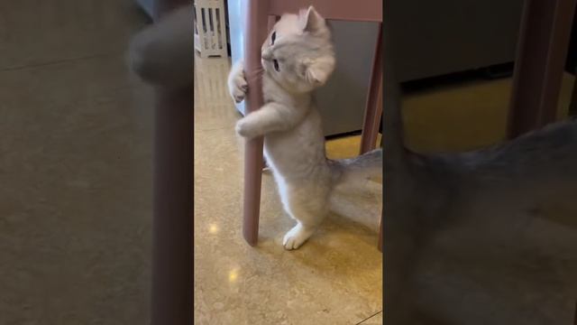 1000002191.mp4 смотреть онлайн