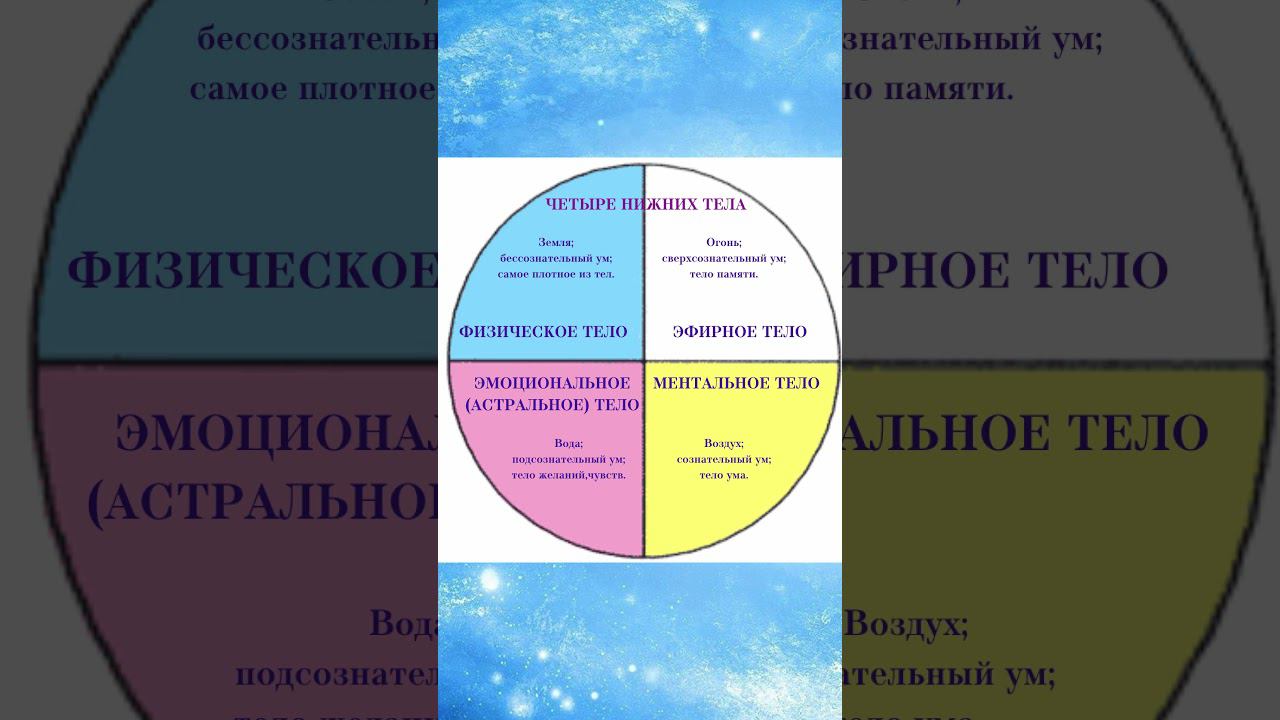 Четыре нижних тела