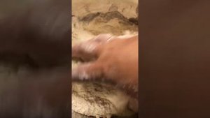 Королевская ватрушка с голубикой!