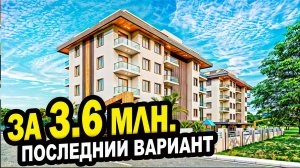 За 3.6 млн. Один вариант с ДКП. Сочи. Недвижимость.