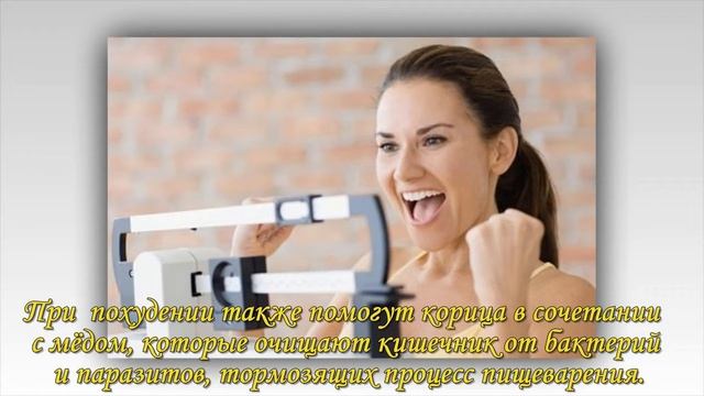 Корица и ее свойства смотреть онлайн