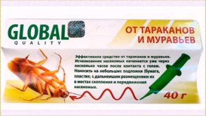 Как навсегда избавиться от тараканов