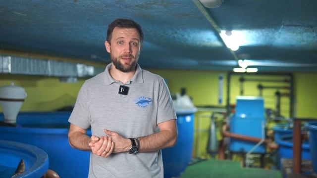 Как ПОНЯТЬ подходит ли ПОМЕЩЕНИЕ ИЛИ ЗДАНИЕ для строительства ФЕРМЫ УЗВ? смотреть онлайн