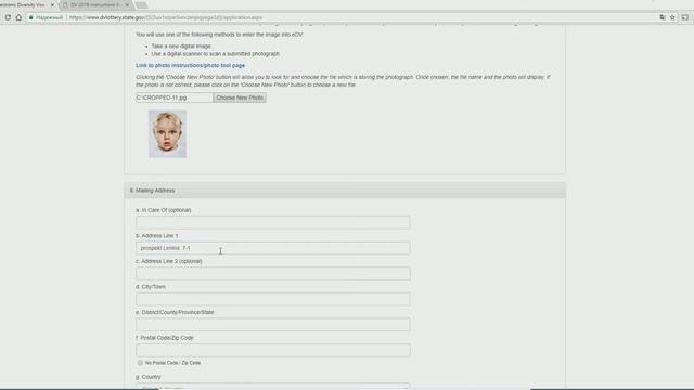 Как заполнить Green Card DV Lottery 2019 (DV-2019) Form DS-5501 смотреть онлайн