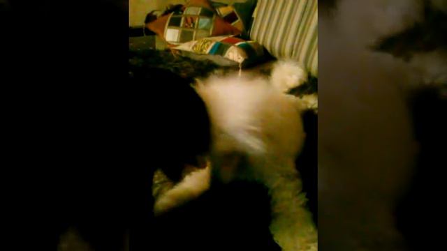 игрушки поигрушки смотреть онлайн