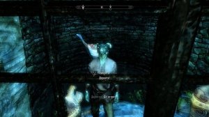 Skyrim - Интересный Спутник Деркитус
