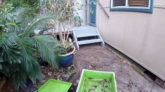 Червячница, идеи для сада.13 July 2022 смотреть онлайн