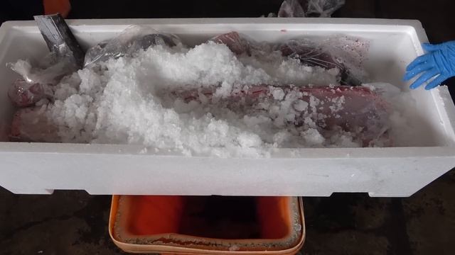 Giant Marlin Fish Cutting for Sashimi and Sushi смотреть онлайн