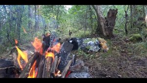 ПОХОД - НЕМНОГО РЫБАЛКИ на Карельском перешейке И РЫБА НА КОСТРЕ по оригинальному рецепту