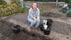 Высокие грядки для картофеля  делаем вручную сами. Готовим осенью землю на даче к весенним посадкам