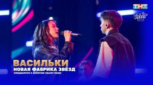 DAASHA & Семён Полищук – Васильки (Новая Фабрика звёзд, спецвыпуск к 20-летию Velvet Music)