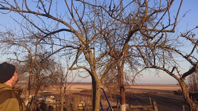 Обрезка слив смотреть онлайн