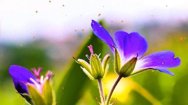 Расслабляющая музыка для сна со звуками дождя, музыка для медитации, расслабляющая музыка смотреть онлайн