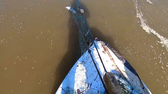 Камчатка. Эх рыбалочка! Сыты будем, не помрем. смотреть онлайн