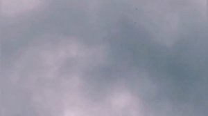 Сокол Сапсан/Орёл/Тетеревятник/Атакуют голубей. Falcon Peregrine