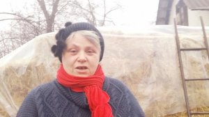 Сколько корова может съесть сена?