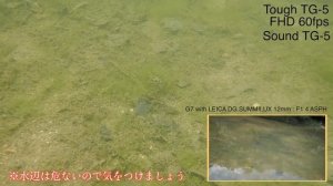 #74【防水カメラ】Tough TG 5がやってきた！中編【OLYMPUS】