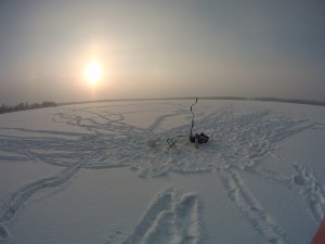 На лед за зубастой 02.12.2023 год.