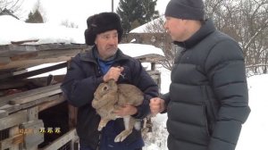 Самодельный улей для пчёл. Продолжение начатого.