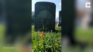 Kind-Hearted Woman Cleans Old Gravestones