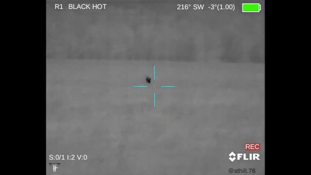 Coyote Calling with a Flir PTS536 смотреть онлайн