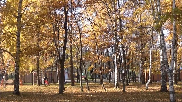 Вероника Тушнова --Молодость, старость... привычно, знакомо... Читает Смирнова Галина. смотреть онлайн
