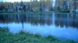 парк "Сосновка", озеро
