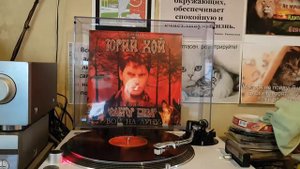 Сектор Газа Вой на Луну.