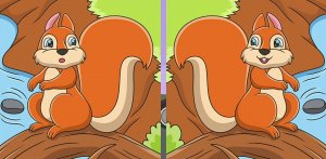 Найди 3 отличия за 60 секунд #12