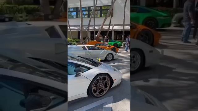 Белые схемы в био ??