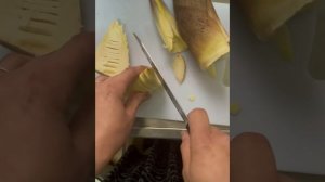 Ростки бамбука. ТАКЕНОКО. Как приготовить.