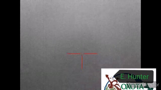 Ночная охота на кабана...#охота #охотавроссии #охотанакабана #ночнаяохота