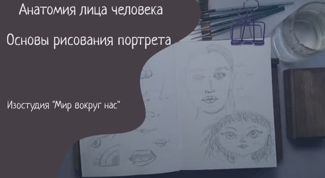 Анатомия лица человека. Основы рисования портрета