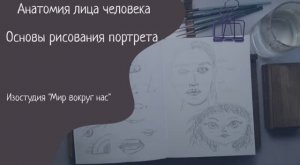 Анатомия лица человека. Основы рисования портрета