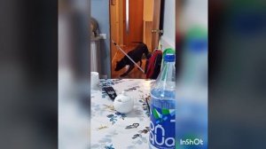 Тайский риджбек.