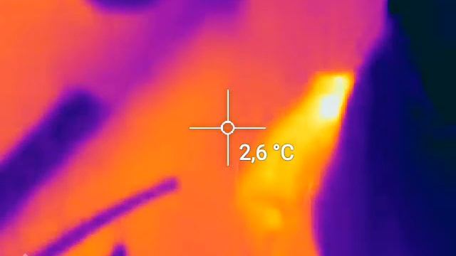 Коты через тепловизор смотреть онлайн