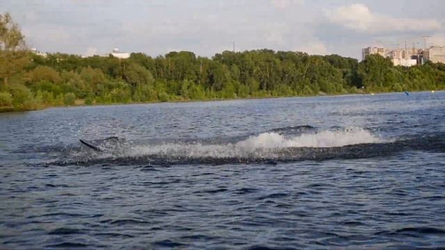 Обзор электро-гидрофойла Lift Foils смотреть онлайн