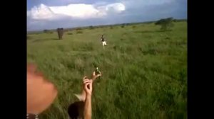 Drunk Man Charges a Wild Elephant / пьяный мужик испугал слона