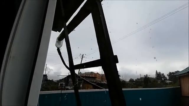 Как хранить бруснику