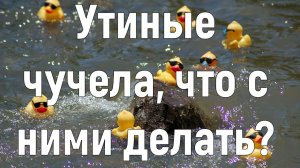 Охота на утку на воде с чучелами. Часть 1.