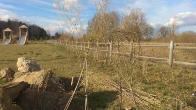 Арбопластики из ивы. Создание Оленя. смотреть онлайн